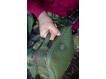Wychwood Pouzdro na doplňky Tactical HD Tackle Organiser
