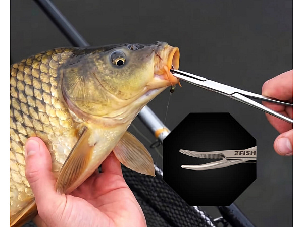 ZFISH Pean Rovný Premium Quality