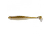 DAIWA - Gumová nástraha Tournament D´Fin 12,5cm, 5ks